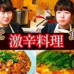 【激辛料理vsはるあん】激辛鍋・極辛マーボー豆腐を作って食べる！【簡単レシピで３品】