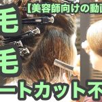 【美容師向けの動画 223】これまでは「ショートカット不可だと言われ続けた髪質 骨格」「昔ながらの基礎技術でコンパクトに収める」japanese haircuts for professionals