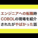 エンジニアへの転職の際にCOBOLの現場を紹介されたが結構やばかった話