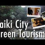 Saiki City – Beautiful countryside and homestay in rural Japan