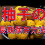 柚子の長期保存方法　Let’s eat season’s food