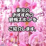 【梅の名所】東京で梅まつりに行こう！2016【観梅スポット】